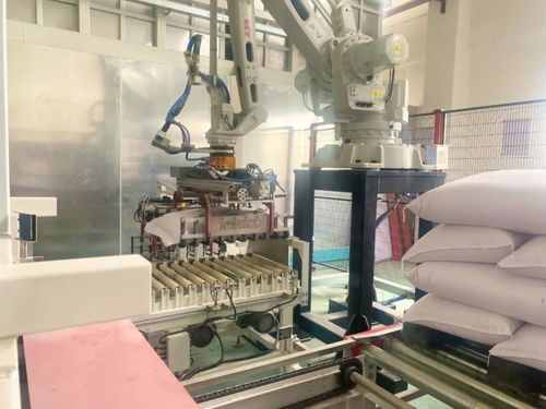 泖港糧庫完成設備改造提升工程，實現全流程自動化